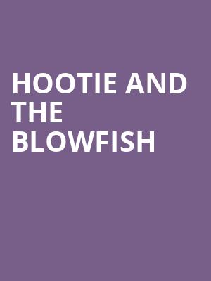 Hootie and the Blowfish, Bon Secours Wellness Arena, Greenville