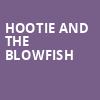 Hootie and the Blowfish, Bon Secours Wellness Arena, Greenville